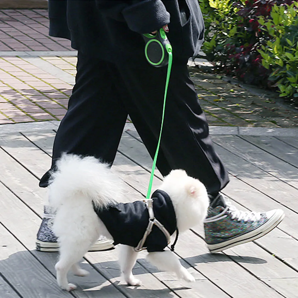 PAWS ASIA Wholesale Custom Best Selling New Nylon Luxury Long Automatic Retractable Dog Leash