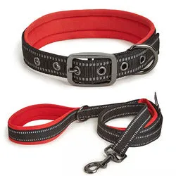 PAWS ASIA Wholesale New Waterproof Reflective Pet Dog Collar And Leash Harness Set With Bag