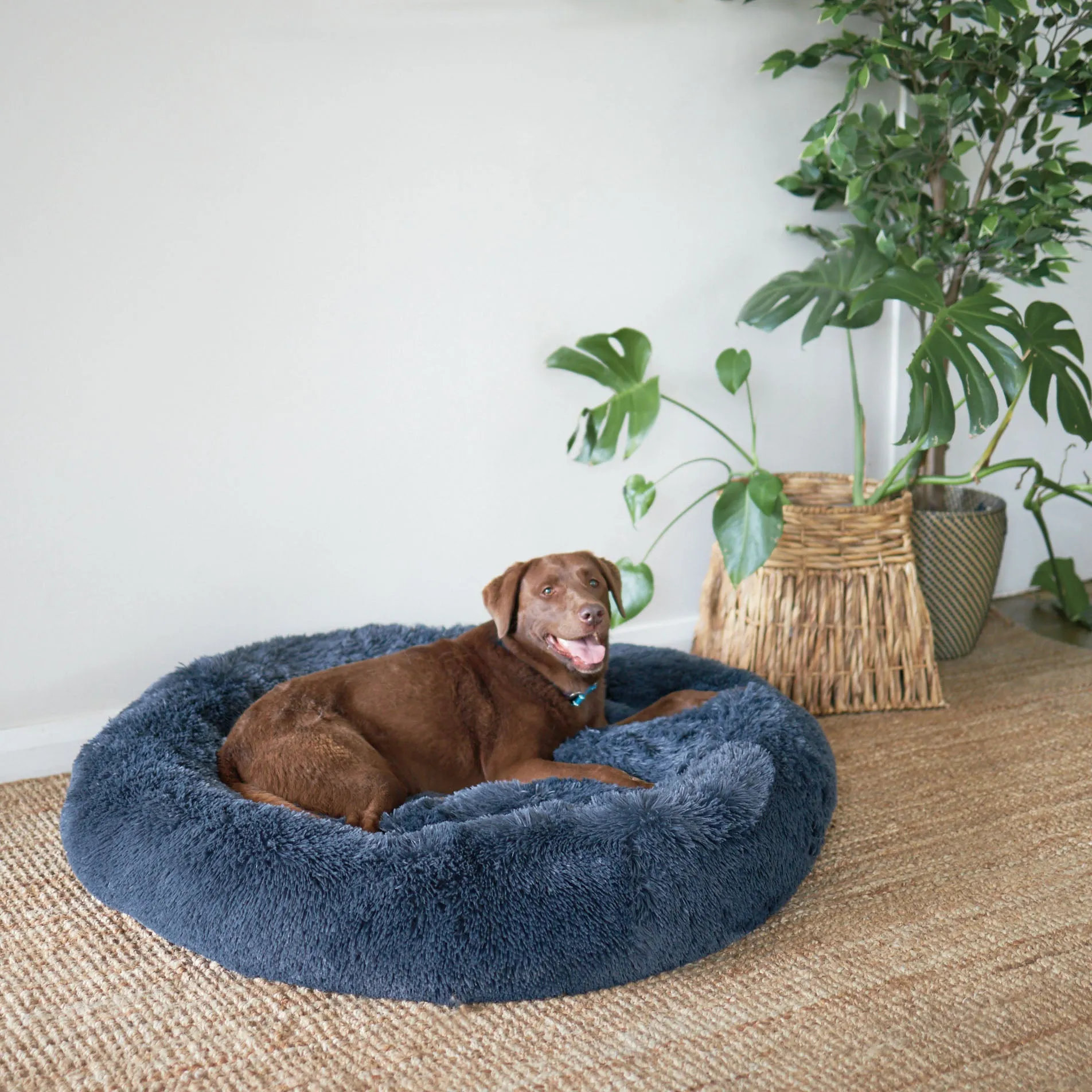 Peacock Dog Bed - Storm Grey