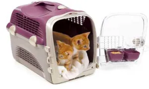 Pet Cargo Cabrio - Assorted colors ( No Alien$ )