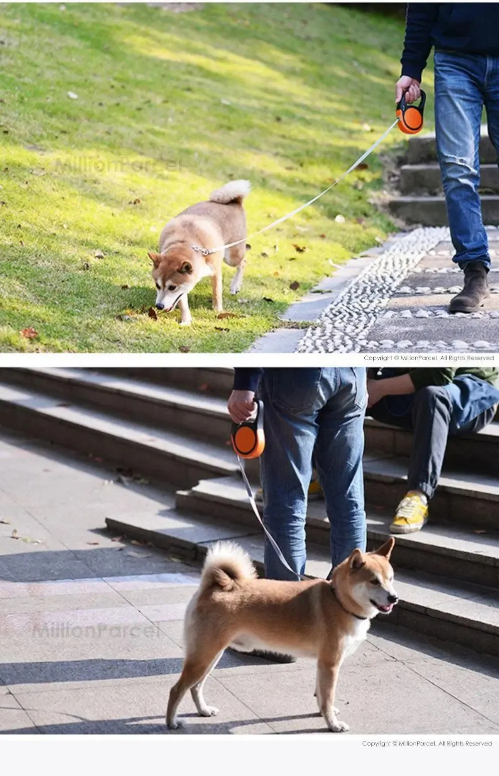 Pet Leash 5 Meter