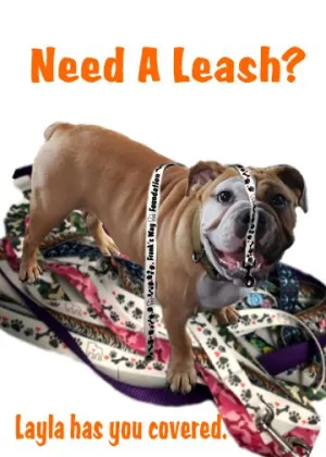Pet Leash Medium