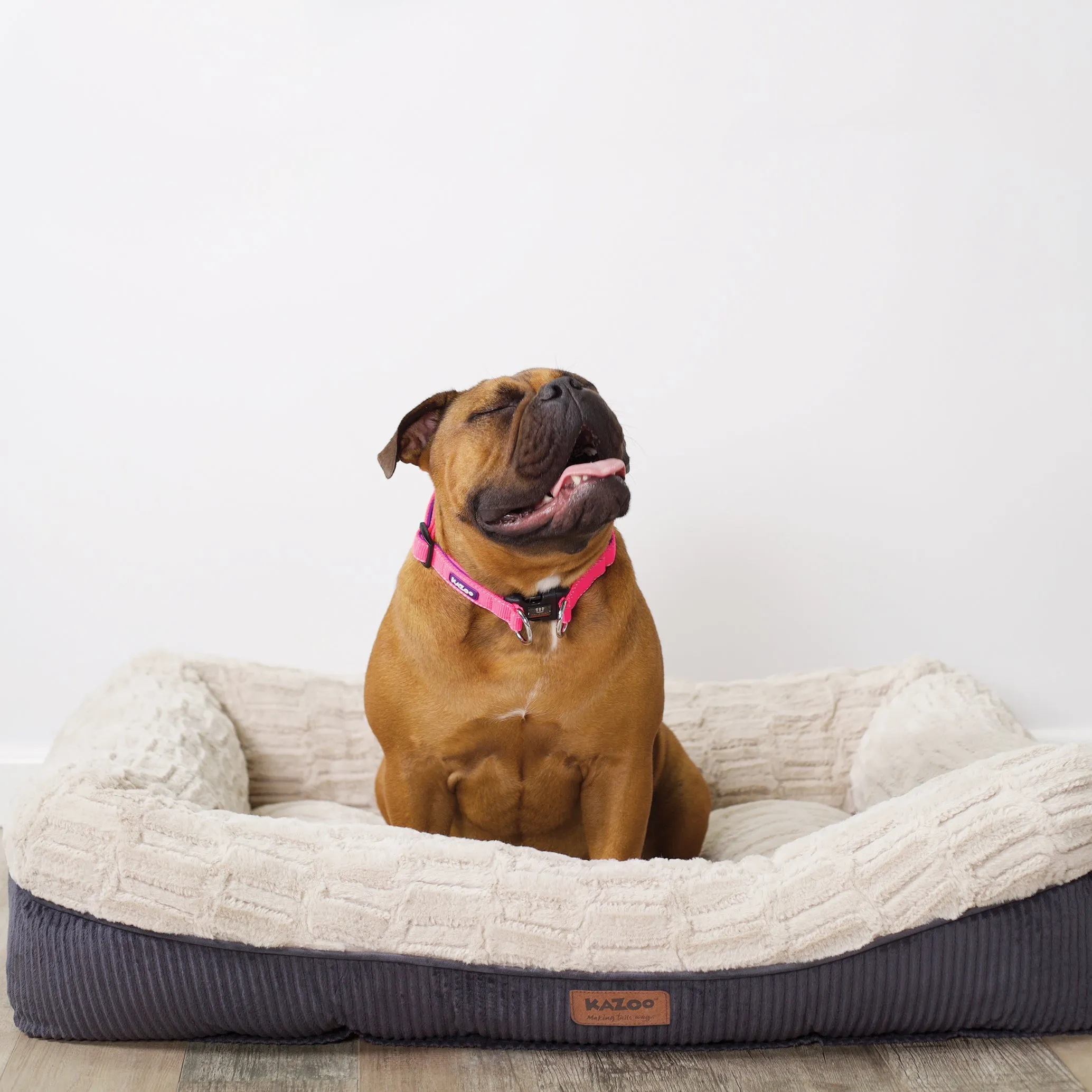 Possum Dog Bed
