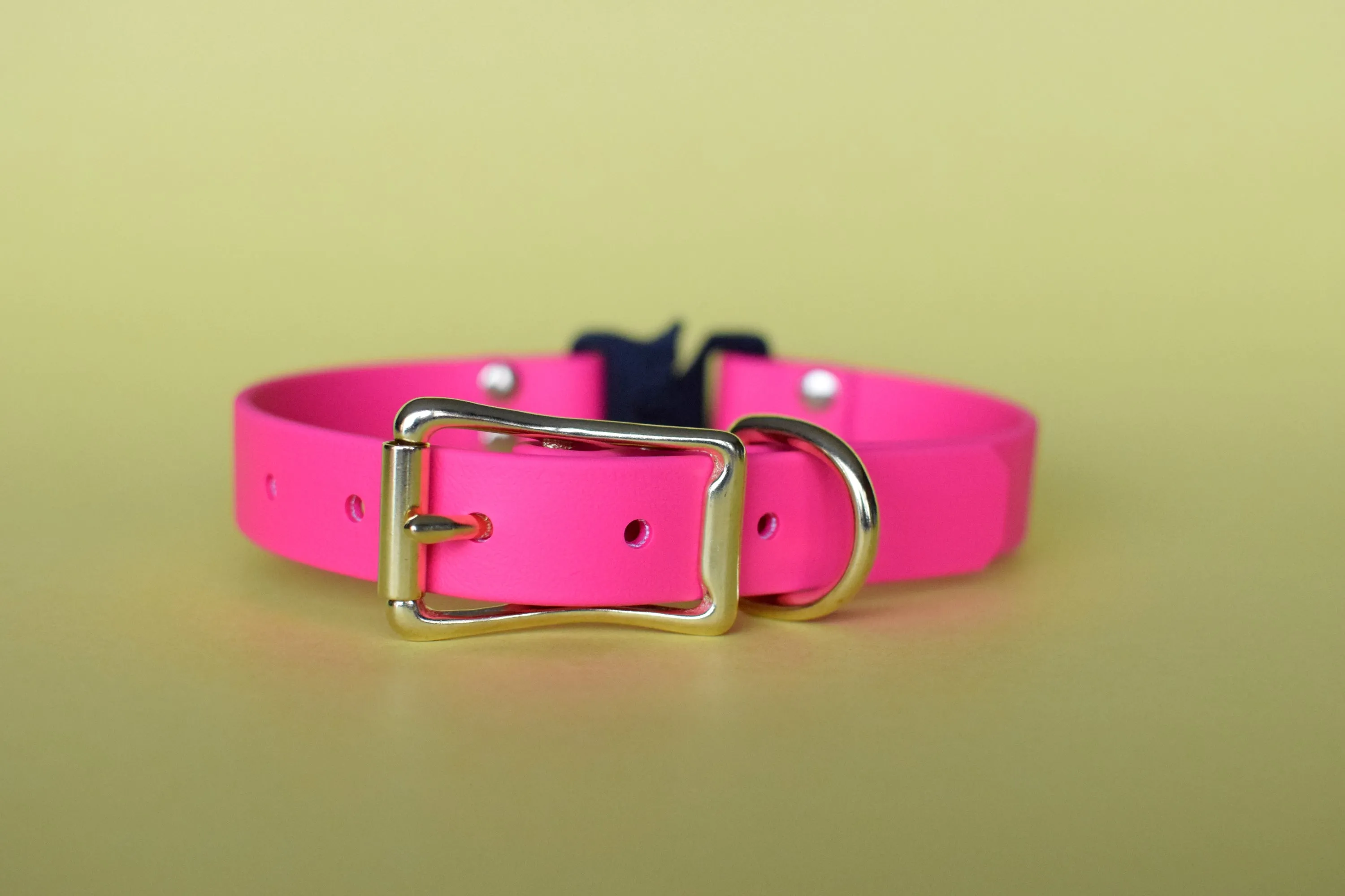 PREMADE COLLECTION - Fuchsia & Brass Biothane Dog Collar