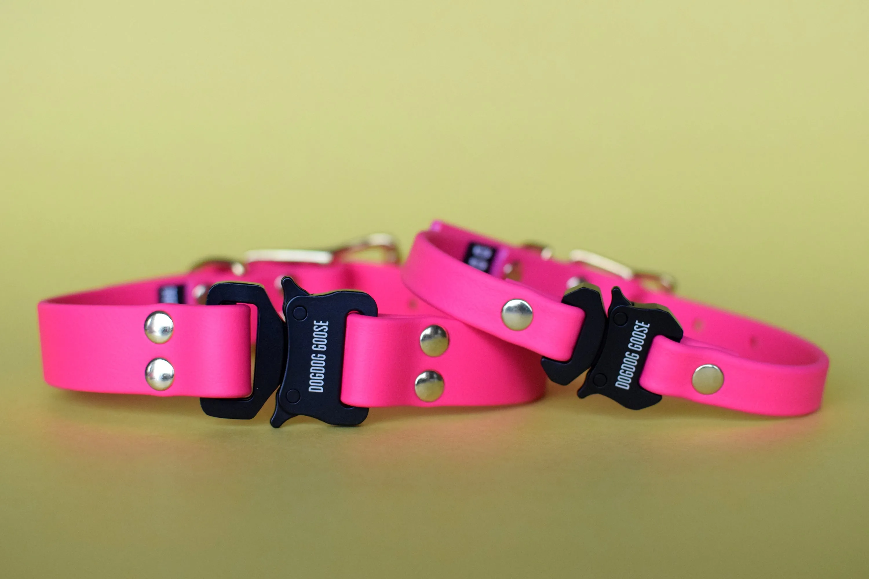 PREMADE COLLECTION - Fuchsia & Brass Biothane Dog Collar