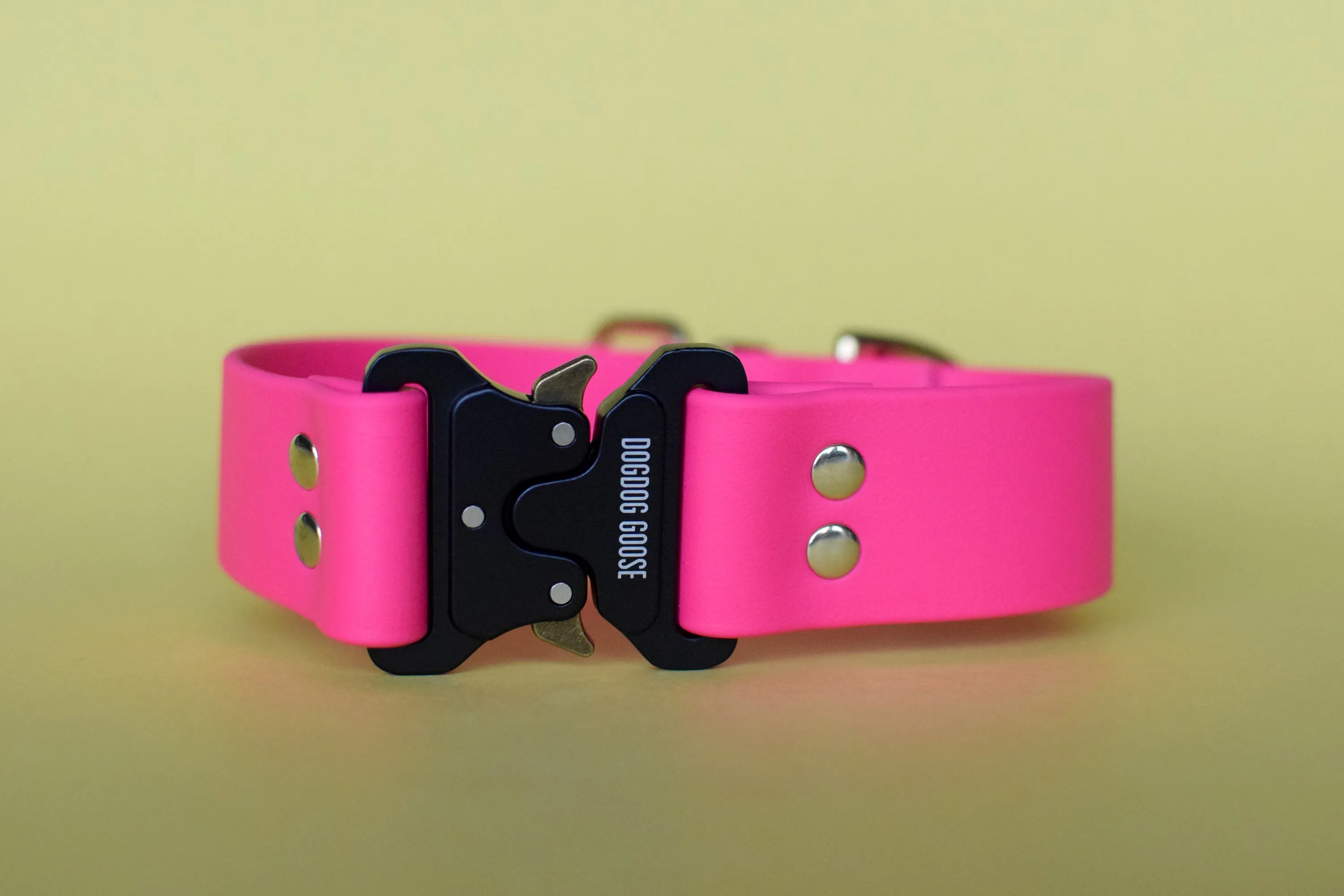 PREMADE COLLECTION - Fuchsia & Brass Biothane Dog Collar