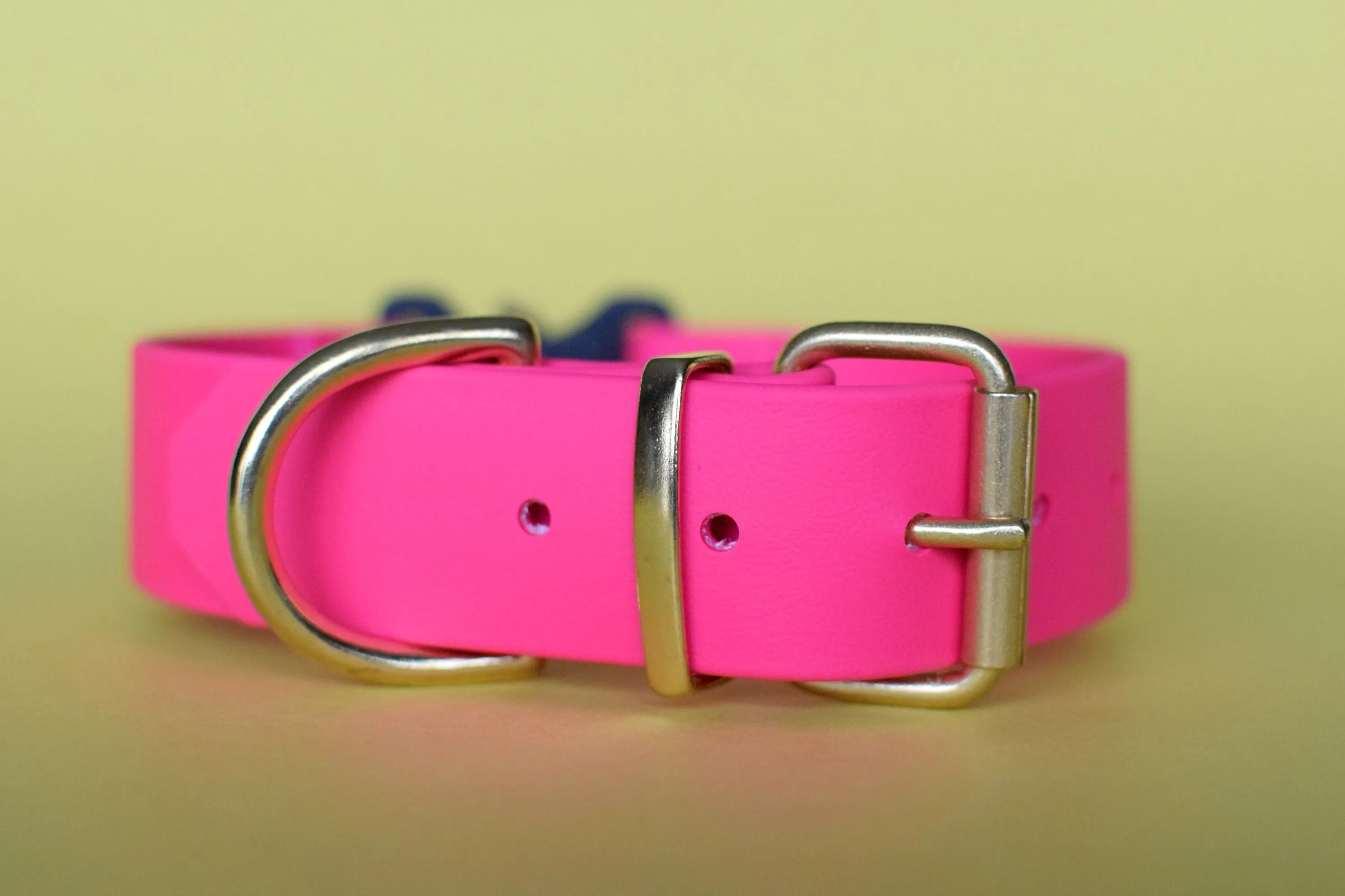 PREMADE COLLECTION - Fuchsia & Brass Biothane Dog Collar