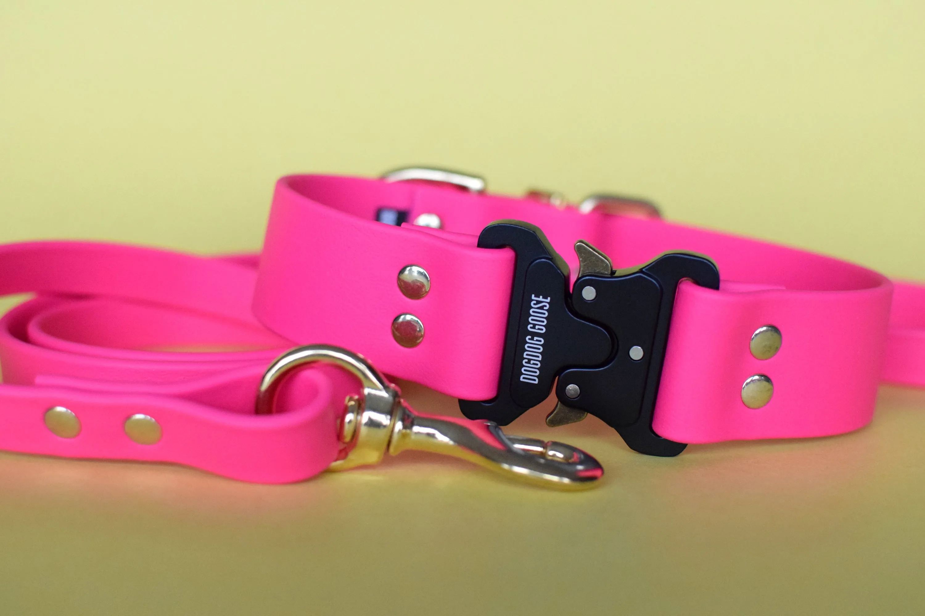 PREMADE COLLECTION - Fuchsia & Brass Biothane Dog Collar