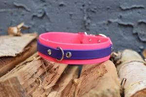 PREMADE COLLECTION - Hot Pink & Purple Biothane Dog Collar