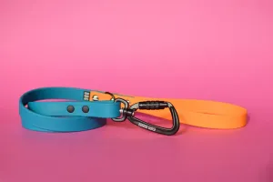 PREMADE COLLECTION - Lagoon & Mango Biothane Dog Leash
