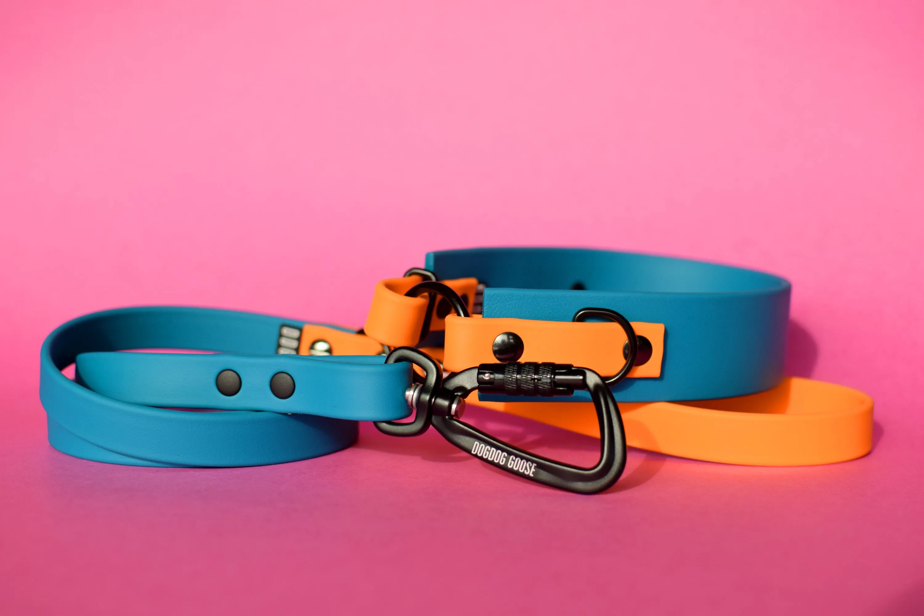 PREMADE COLLECTION - Lagoon & Mango Biothane Dog Leash