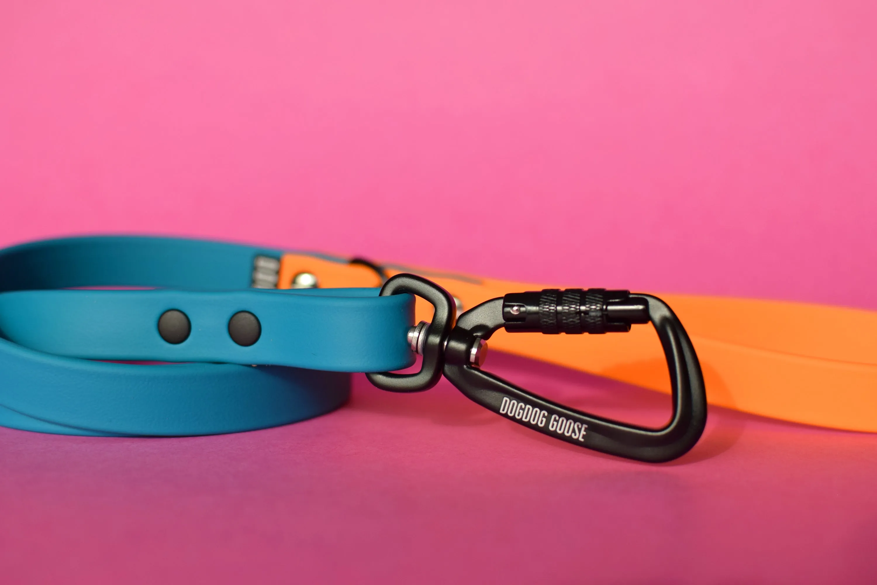 PREMADE COLLECTION - Lagoon & Mango Biothane Dog Leash