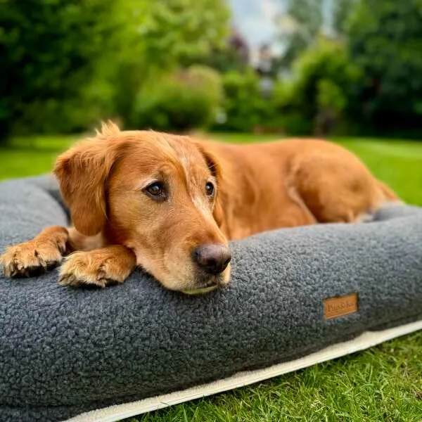 PupPillow Dog Bed - Large Slate Grey