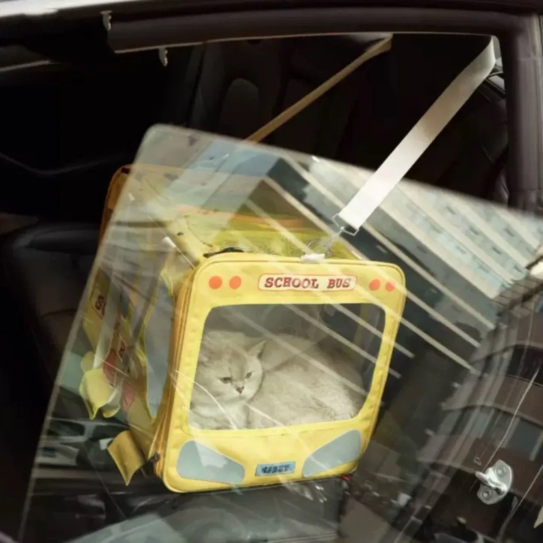 PURLAB School Bus Pet Carrier