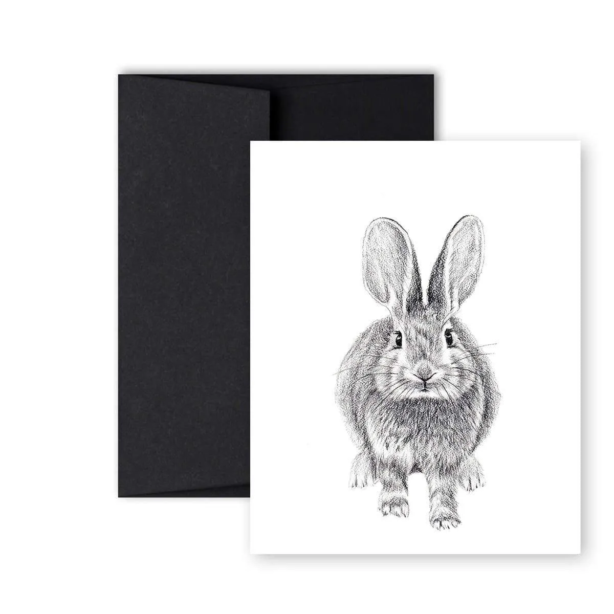 Rabbit front and back Greeting Card