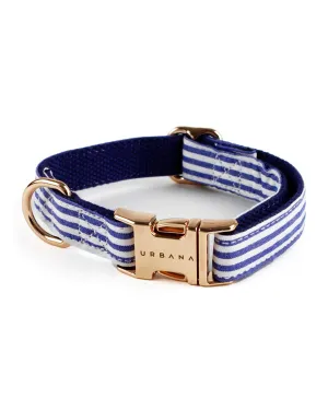 Riviera Beach Dog Collar