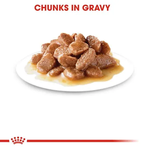 Royal Canin | Cat Wet Food Pouch | Adult Instinctive in Gravy - 85g