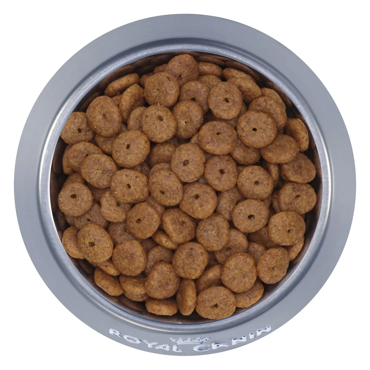 Royal Canin Mini Ageing 12  Dry Dog Food 1.5kg