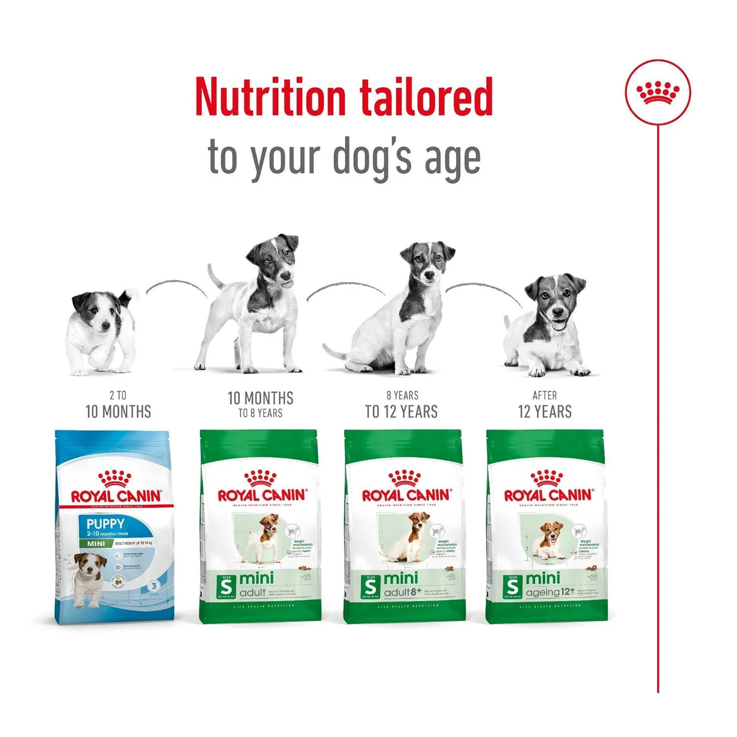 Royal Canin Mini Ageing 12  Dry Dog Food 1.5kg