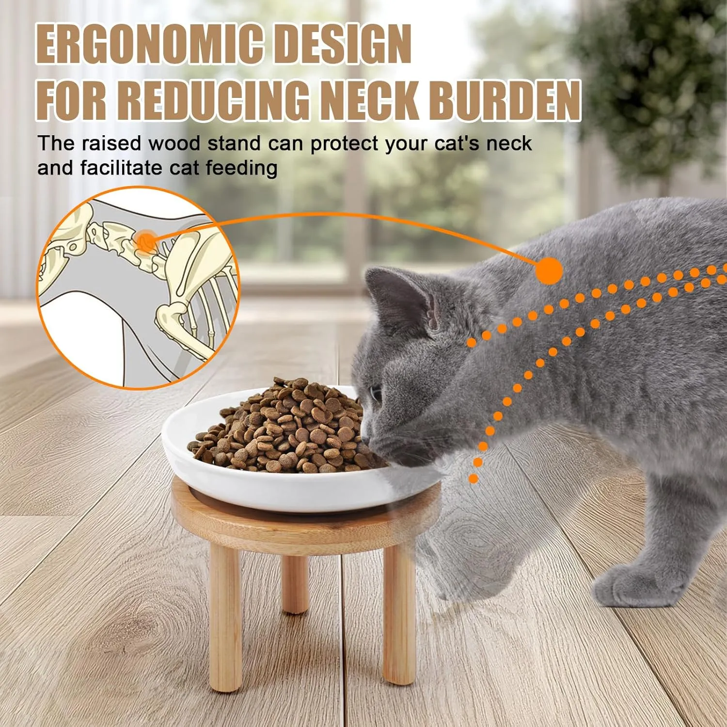 Shallow Elevated Cat Bowls with Bamboo Stand, 5.9 Inch Wide Ceramic Cat Dish Whisker Friendly, 2 Pack Pet Food and Water Plates