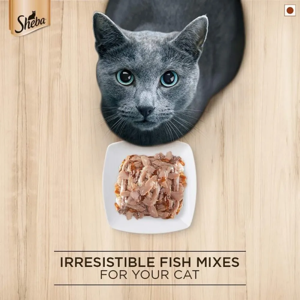 Sheba Fish with Dry Bonito Flake Premium Cat Wet Food and Chicken Flavour Irresistible All Life Stage Cat Dry Food Combo