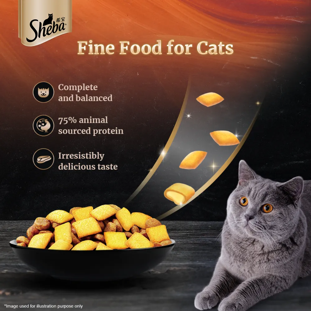 Sheba Fish with Dry Bonito Flake Premium Cat Wet Food and Chicken Flavour Irresistible All Life Stage Cat Dry Food Combo