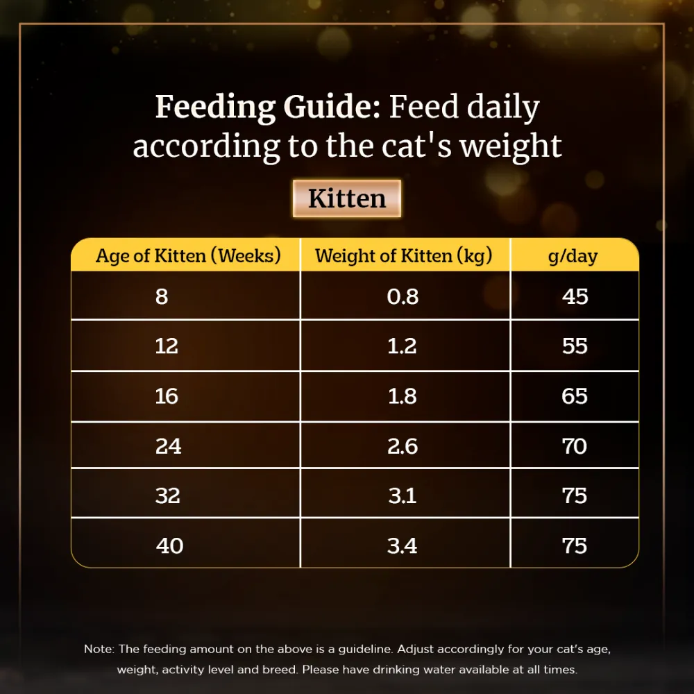 Sheba Fish with Dry Bonito Flake Premium Cat Wet Food and Chicken Flavour Irresistible All Life Stage Cat Dry Food Combo