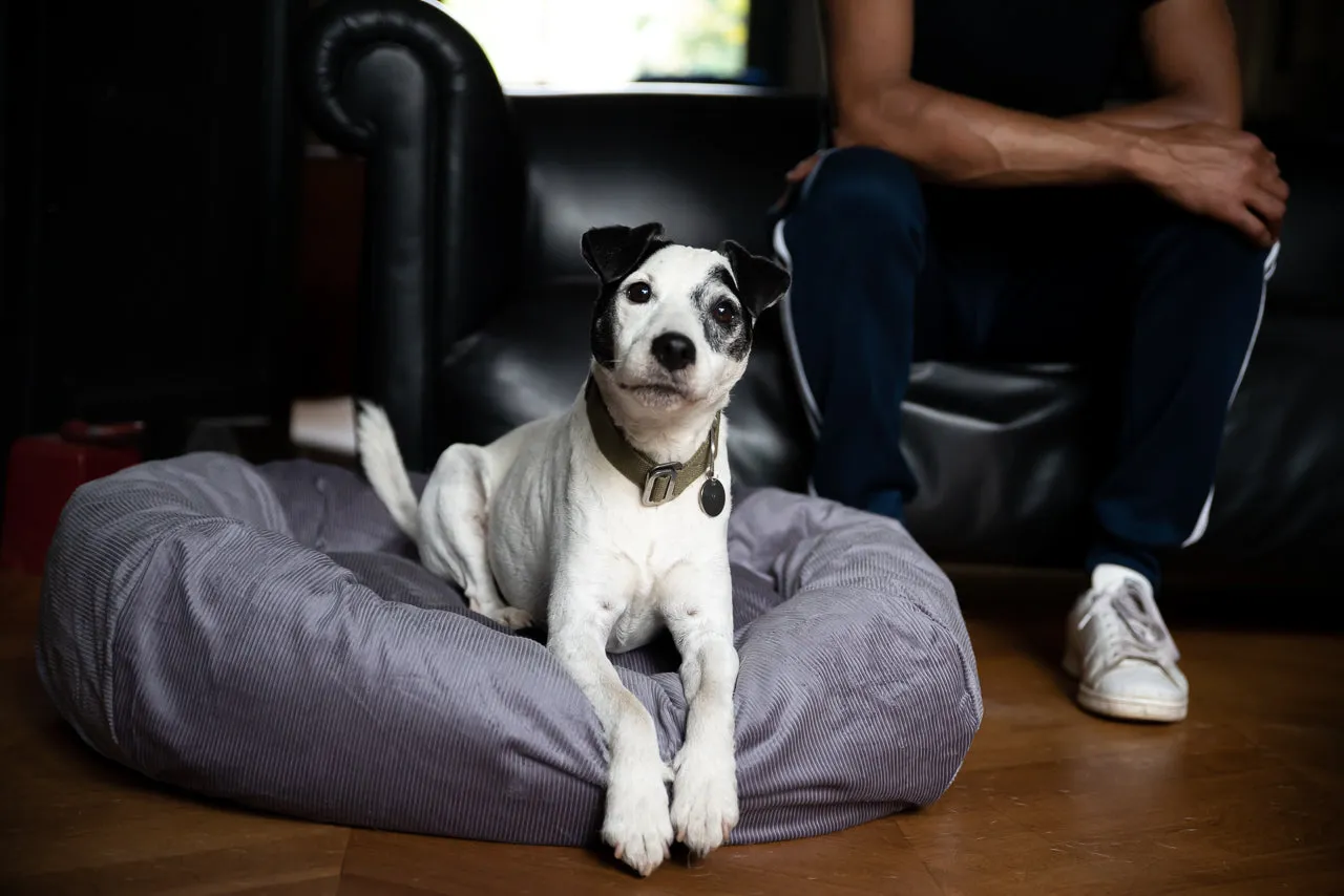 SILVER GREY DOG BED