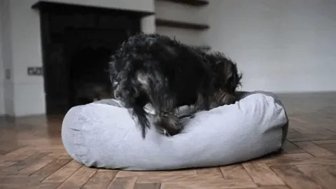 SILVER GREY DOG BED