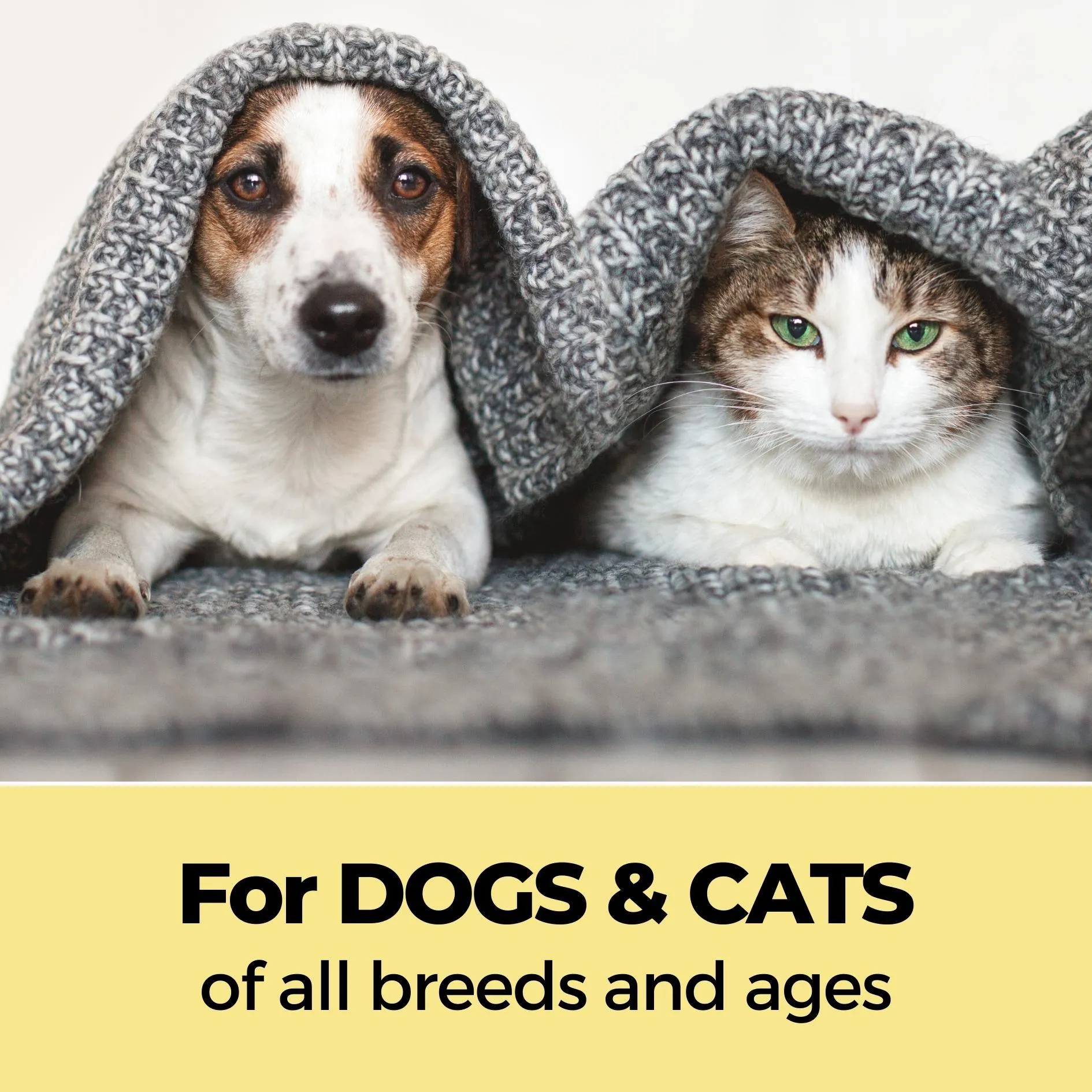 Tick Defense & Xtra Nourish Pet Shampoo Combo