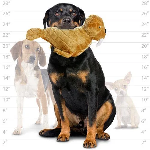 Tuffy Dog Toys - VIP Products - Mighty Arctic Walrus, Plush, Squeaky Dog Toy