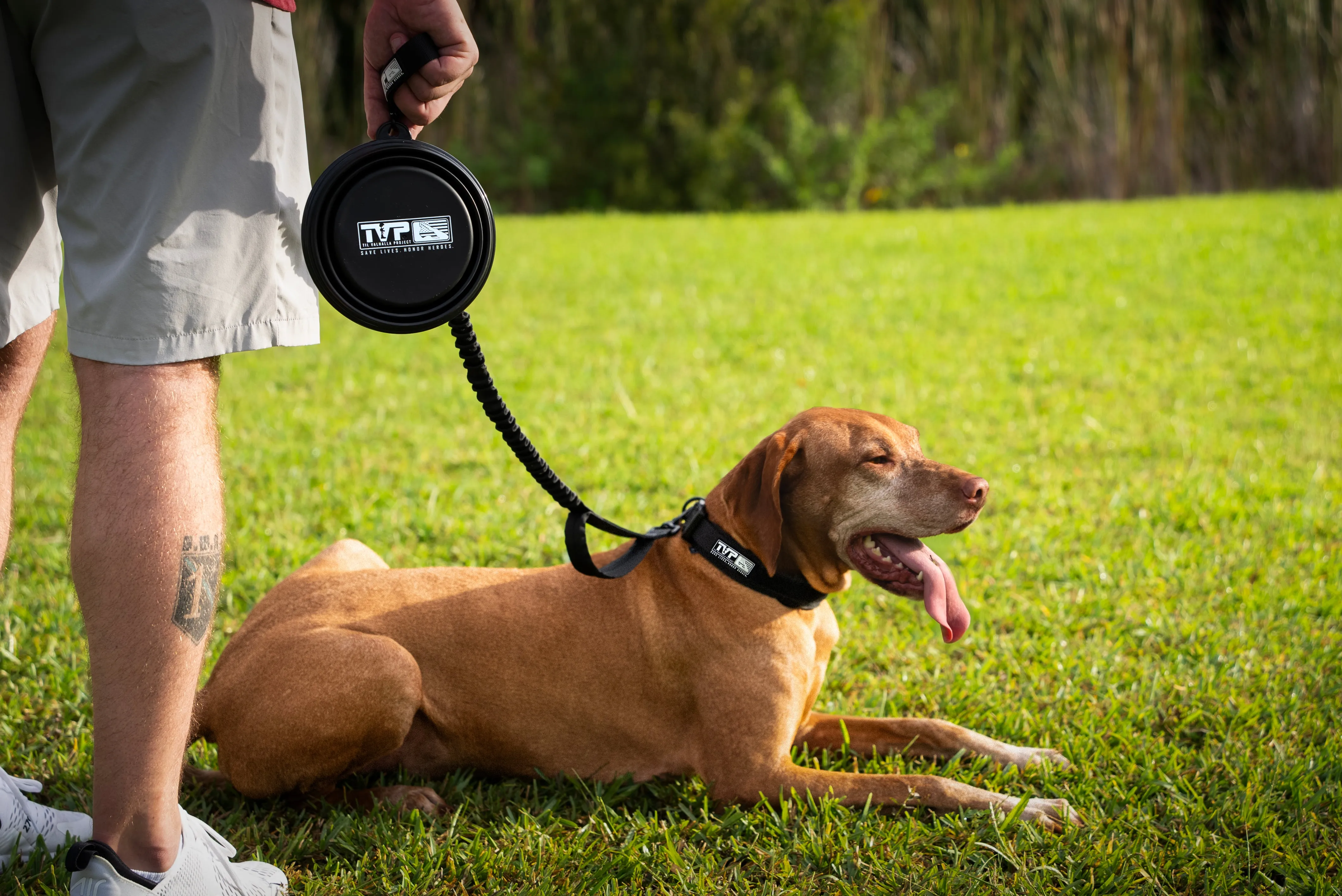 T.V.P. Pet Accessory Bundle