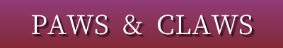 Dog & Cat Food, Toys, Grooming, Bedding & Pet Accessories – Premium Pet Products